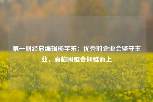 第一财经总编辑杨宇东：优秀的企业会坚守主业，面临困难会迎难而上