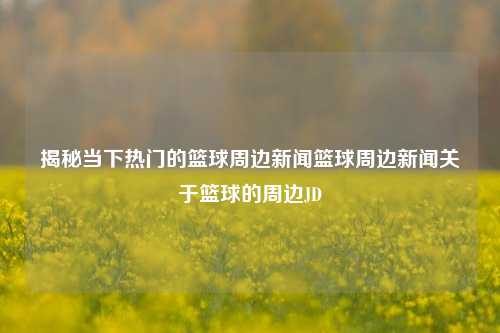 揭秘当下热门的篮球周边新闻篮球周边新闻关于篮球的周边JD