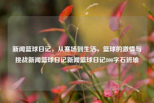 新闻篮球日记，从赛场到生活，篮球的激情与挑战新闻篮球日记新闻篮球日记800字石班瑜