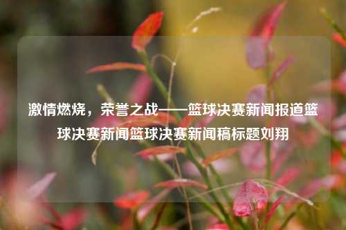 激情燃烧，荣誉之战——篮球决赛新闻报道篮球决赛新闻篮球决赛新闻稿标题刘翔