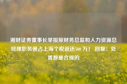 湘财证券董事长举报原财务总监和人力资源总经理职务侵占上海个税返还500 万！ 回复：处置都是合规的