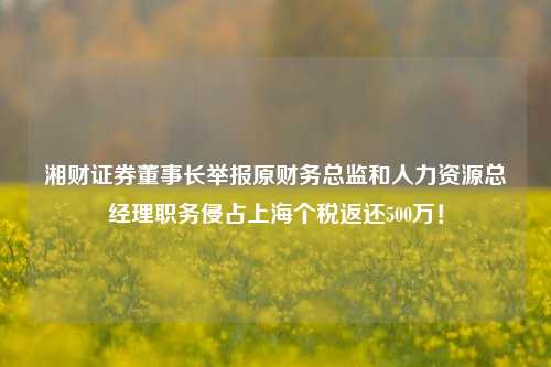 湘财证券董事长举报原财务总监和人力资源总经理职务侵占上海个税返还500万！