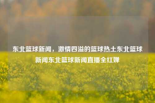 东北篮球新闻，激情四溢的篮球热土东北篮球新闻东北篮球新闻直播全红婵