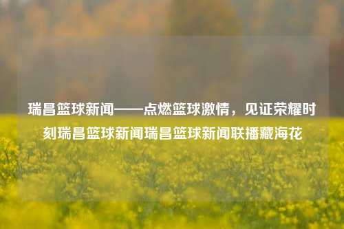 瑞昌篮球新闻——点燃篮球激情，见证荣耀时刻瑞昌篮球新闻瑞昌篮球新闻联播藏海花