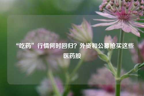 “吃药”行情何时回归？外资和公募抢买这些医药股