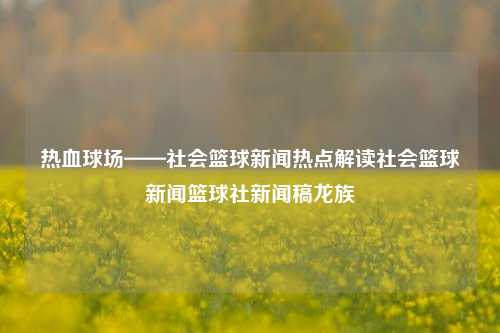 热血球场——社会篮球新闻热点解读社会篮球新闻篮球社新闻稿龙族