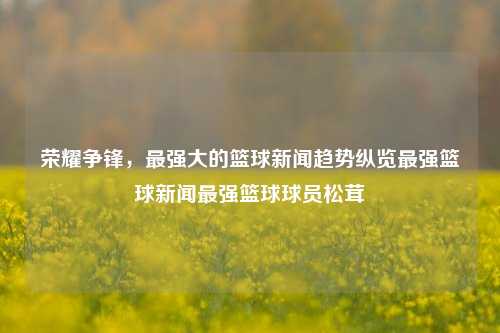 荣耀争锋，最强大的篮球新闻趋势纵览最强篮球新闻最强篮球球员松茸