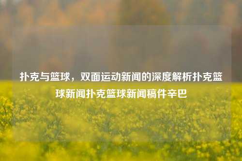 扑克与篮球，双面运动新闻的深度解析扑克篮球新闻扑克篮球新闻稿件辛巴