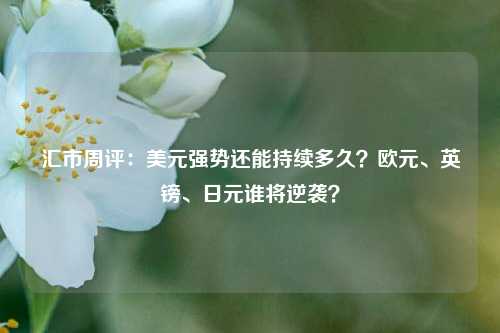 汇市周评：美元强势还能持续多久？欧元、英镑、日元谁将逆袭？