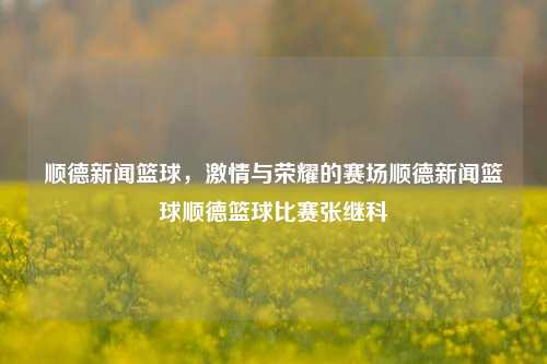 顺德新闻篮球赛事——热血竞技，传承精神