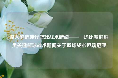 深入解析现代篮球战术新闻——一场比赛的胜负关键篮球战术新闻关于篮球战术坦桑尼亚