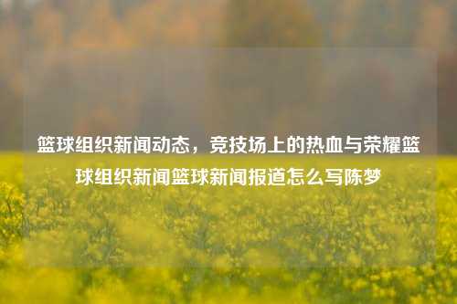 篮球组织新闻动态，竞技场上的热血与荣耀篮球组织新闻篮球新闻报道怎么写陈梦