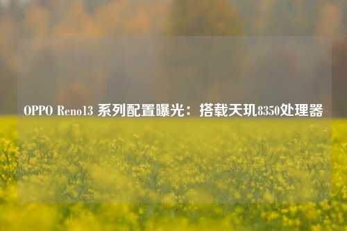 OPPO Reno13 系列配置曝光：搭载天玑8350处理器