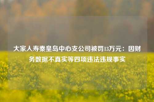 大家人寿秦皇岛中心支公司被罚13万元：因财务数据不真实等四项违法违规事实