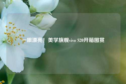 一眼漂亮！美学旗舰vivo S20开箱图赏