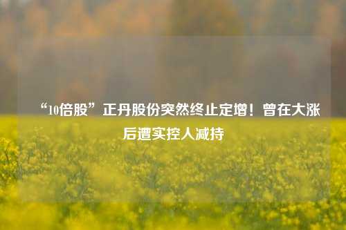 “10倍股”正丹股份突然终止定增！曾在大涨后遭实控人减持