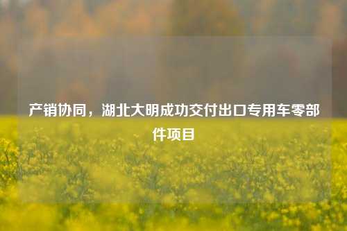 产销协同，湖北大明成功交付出口专用车零部件项目