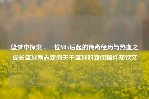 篮梦中探索 - 一位NBA后起的传奇经历与热血之成长篮球励志新闻关于篮球的新闻稿件郑钦文