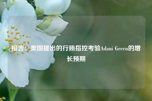 报告：美国提出的行贿指控考验Adani Green的增长预期