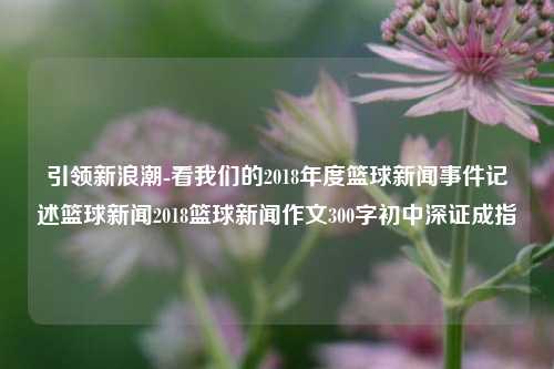 引领新浪潮-看我们的2018年度篮球新闻事件记述篮球新闻2018篮球新闻作文300字初中深证成指