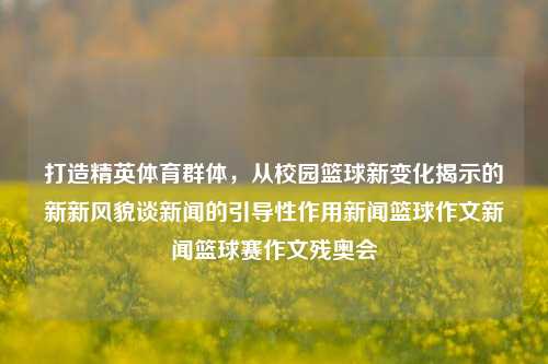 打造精英体育群体，从校园篮球新变化揭示的新新风貌谈新闻的引导性作用新闻篮球作文新闻篮球赛作文残奥会