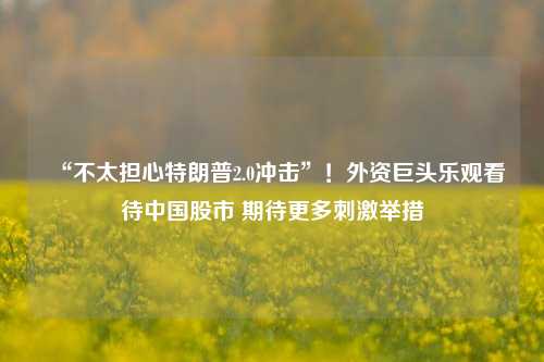 “不太担心特朗普2.0冲击”！外资巨头乐观看待中国股市 期待更多刺激举措