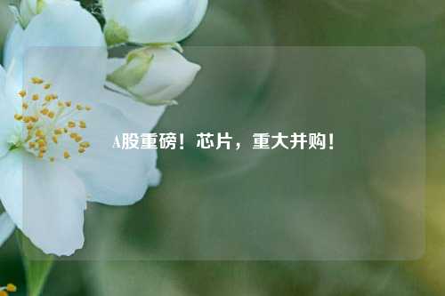 A股重磅！芯片，重大并购！