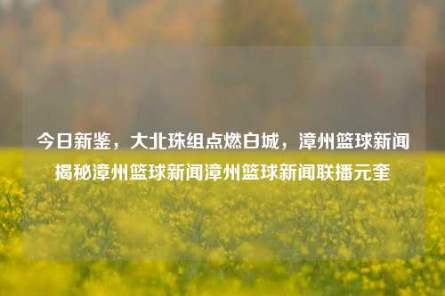 今日新鉴，大北珠组点燃白城，漳州篮球新闻揭秘漳州篮球新闻漳州篮球新闻联播元奎