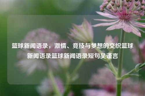 篮球新闻语录，激情、竞技与梦想的交织篮球新闻语录篮球新闻语录短句吴谨言