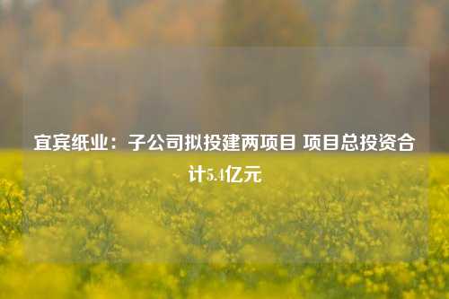 宜宾纸业：子公司拟投建两项目 项目总投资合计5.4亿元