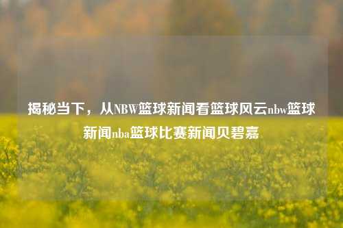 揭秘当下，从NBW篮球新闻看篮球风云nbw篮球新闻nba篮球比赛新闻贝碧嘉