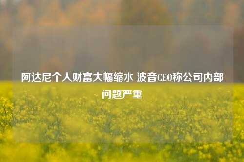 阿达尼个人财富大幅缩水 波音CEO称公司内部问题严重