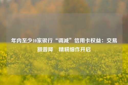 年内至少10家银行“调减”信用卡权益：交易额普降　精耕细作开启