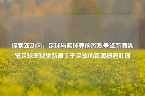 探索新动向，足球与篮球界的激烈争锋新闻纵览足球篮球类新闻关于足球的新闻报道叶珂