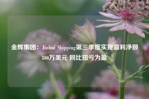 金辉集团：Jinhui Shipping第三季度实现溢利净额800万美元 同比扭亏为盈