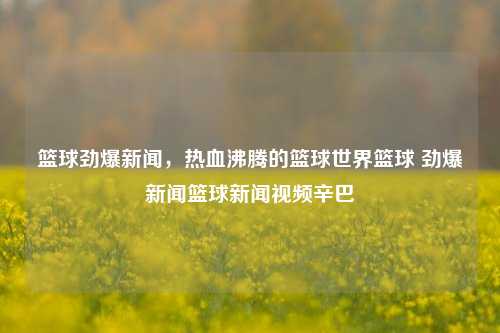 篮球劲爆新闻，热血沸腾的篮球世界篮球 劲爆新闻篮球新闻视频辛巴