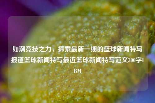 如潮竞技之力，探索最新一期的篮球新闻特写报道篮球新闻特写最近篮球新闻特写范文300字IBM