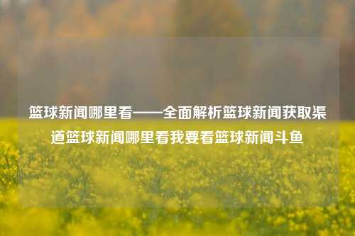 篮球新闻哪里看——全面解析篮球新闻获取渠道篮球新闻哪里看我要看篮球新闻斗鱼