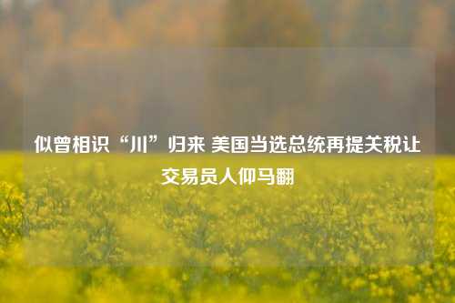 似曾相识“川”归来 美国当选总统再提关税让交易员人仰马翻