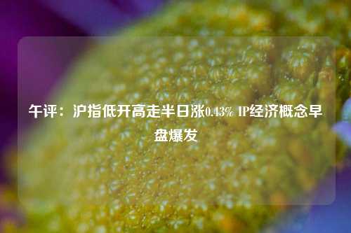 午评：沪指低开高走半日涨0.43% IP经济概念早盘爆发