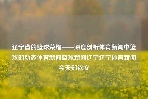 辽宁省的篮球荣耀——深度剖析体育新闻中篮球的动态体育新闻篮球新闻辽宁辽宁体育新闻今天郑钦文