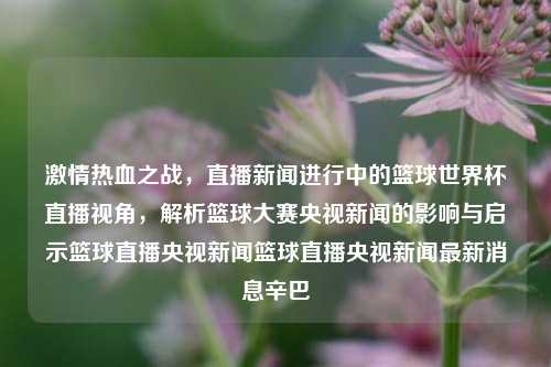 激情热血之战，直播新闻进行中的篮球世界杯直播视角，解析篮球大赛央视新闻的影响与启示篮球直播央视新闻篮球直播央视新闻最新消息辛巴