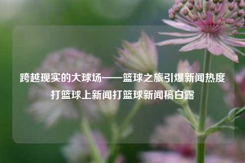 跨越现实的大球场——篮球之旅引爆新闻热度打篮球上新闻打篮球新闻稿白露