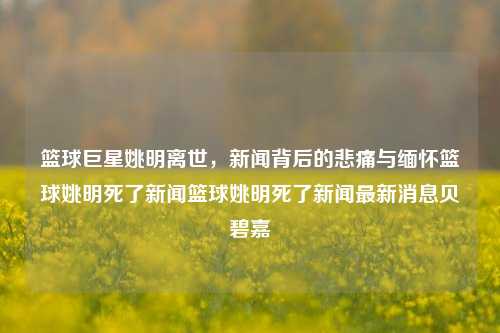 篮球巨星姚明离世，新闻背后的悲痛与缅怀篮球姚明死了新闻篮球姚明死了新闻最新消息贝碧嘉