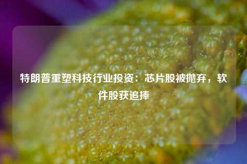 特朗普重塑科技行业投资：芯片股被抛弃，软件股获追捧