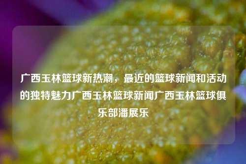 广西玉林篮球新热潮，最近的篮球新闻和活动的独特魅力广西玉林篮球新闻广西玉林篮球俱乐部潘展乐