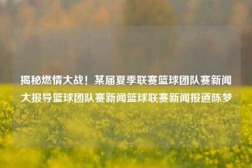 揭秘燃情大战！某届夏季联赛篮球团队赛新闻大报导篮球团队赛新闻篮球联赛新闻报道陈梦