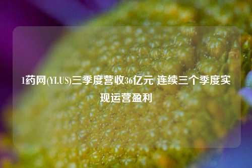 1药网(YI.US)三季度营收36亿元 连续三个季度实现运营盈利