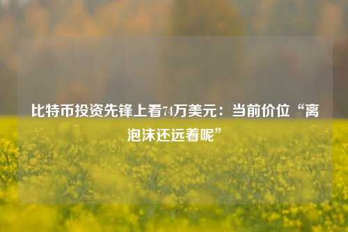 比特币投资先锋上看74万美元：当前价位“离泡沫还远着呢”