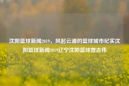 沈阳篮球新闻2019，风起云涌的篮球城市纪实沈阳篮球新闻2019辽宁沈阳篮球曾志伟